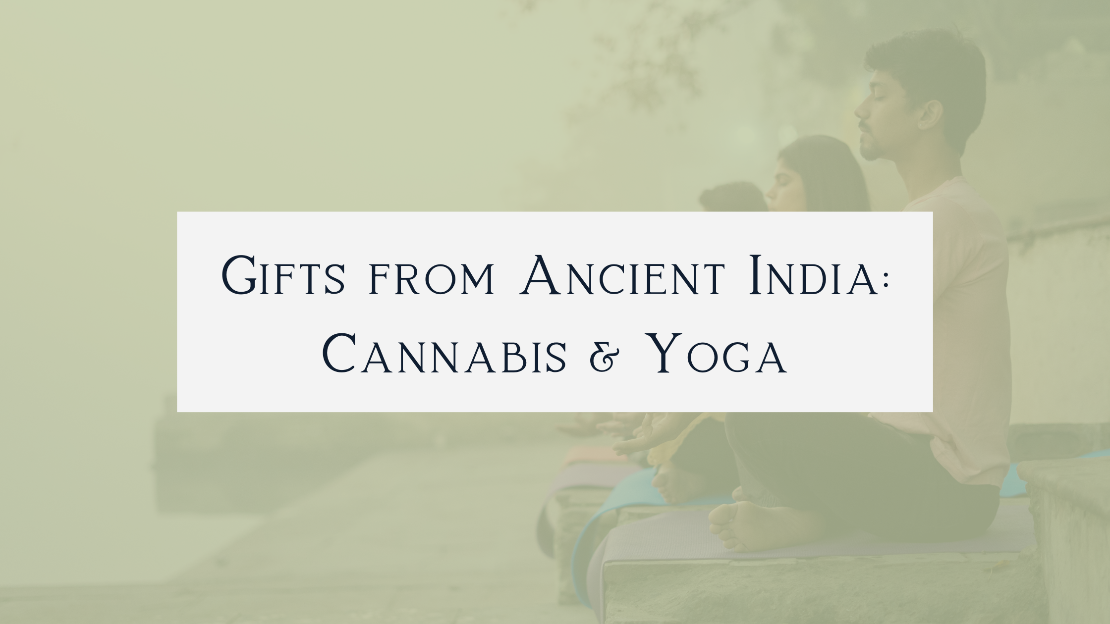 Gifts from Ancient India: Cannabis & Yoga